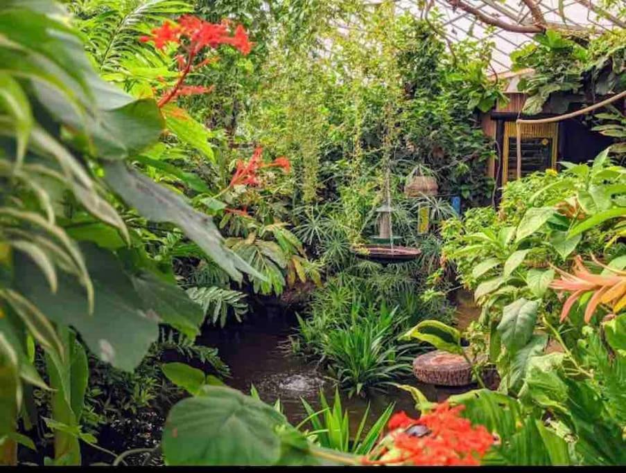 Hidden Gem !Stunning 3 Bedroom Home In Sheffield Handsworth Extérieur photo